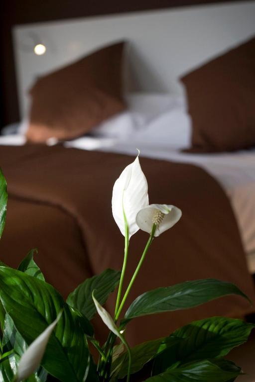 Hotel La Sequia Molinar Campdevánol Εξωτερικό φωτογραφία